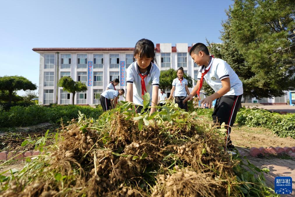 澳门百老汇备用网站
